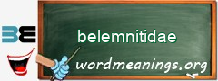 WordMeaning blackboard for belemnitidae